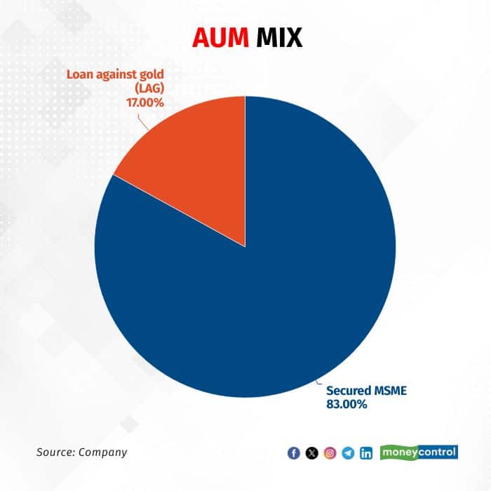 SBFC graphics 24112539