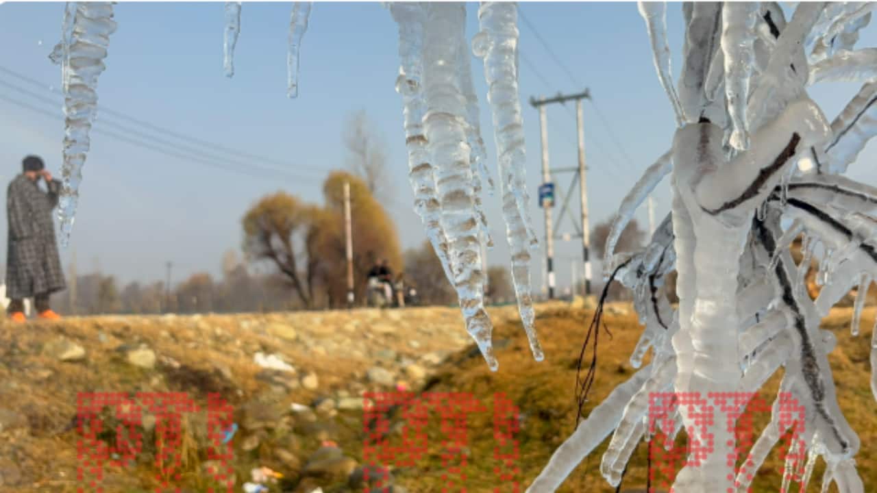 The city on Monday recorded the coldest night as the minimum had settled at minus 3.2 degrees Celsius the previous night. (Photo: PTI)
