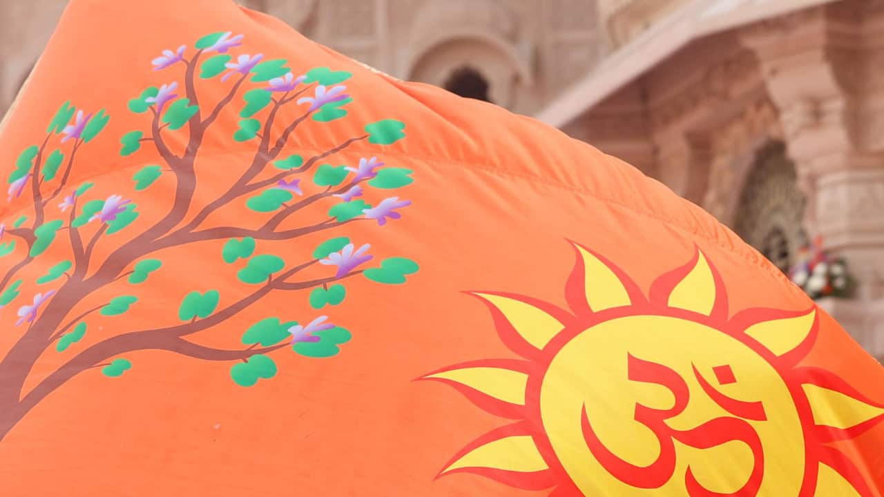 Kovidar tree, inscribed on Ram Mandir’s ‘dharm dhwaj’, was official symbol of Ayodhya kingdom