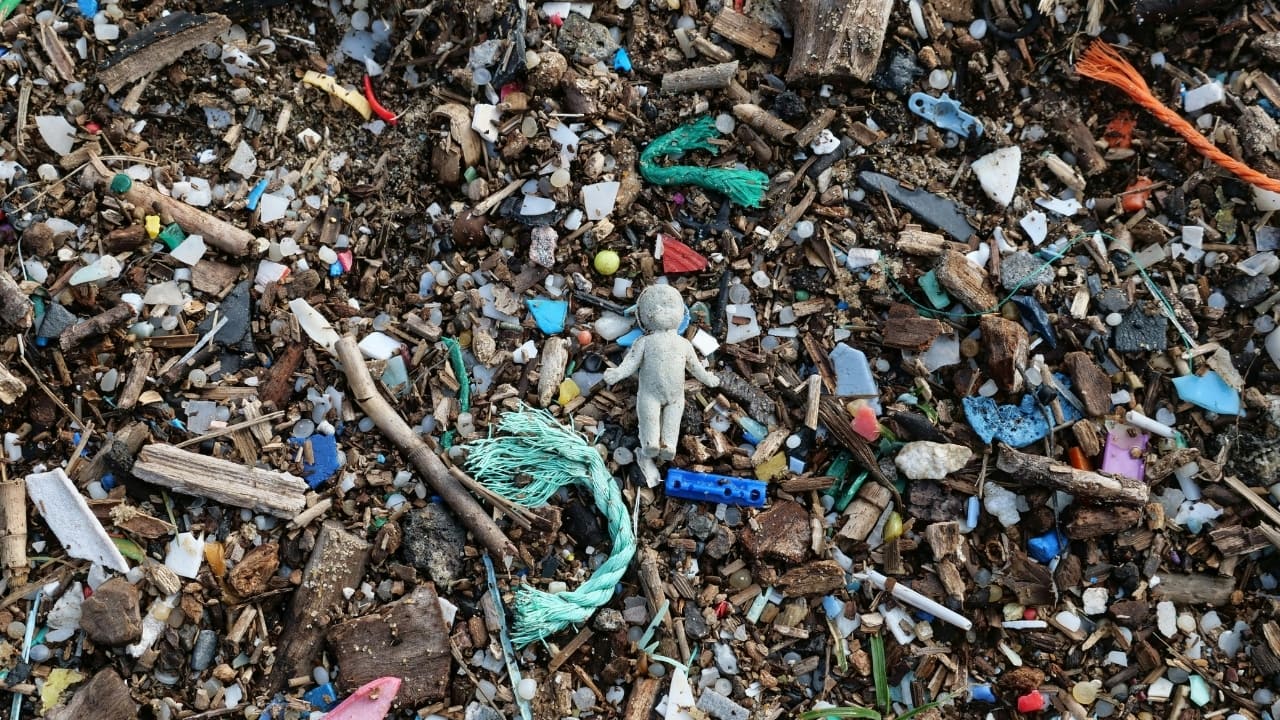 Microplastics are more dangerous than you think, could be spreading drug-resistant bacteria