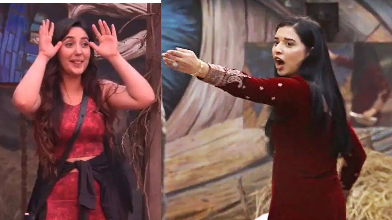 Bigg Boss 19: Ashnoor Kaur and Tanya Mittal have a verbal spat; the latter tells her, ‘Tu final mein nahi pahuchegi’