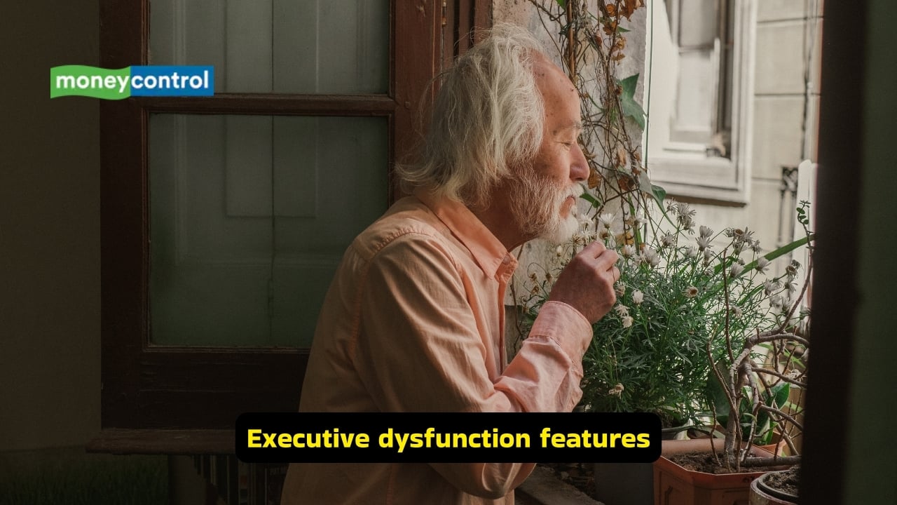 <strong>Executive dysfunction features</strong><br />Impaired executive function affects planning of daily activities. Other symptoms include irritability and aggression, along with apathy and loss of inhibitions. The person may become emotionally labile and anxious, and can show signs of depression as well.