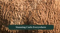 <strong>6. Curly Everywhere:</strong> From mane to tail and sometimes even eyelashes, the distinctive curls create a beautiful texture rarely seen among other horse breeds today. (Image: Canva)
