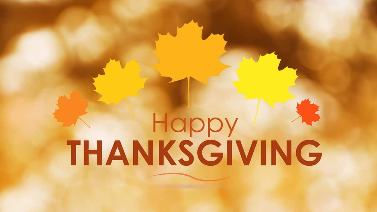 Happy Thanksgiving day