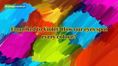 From Red to Violet: How our eyes spot every colour?