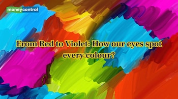 Discover how our eyes and brain work together to see millions of colours (Image: Canva)