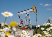 Oil prices settle up in low volume on US holiday; Russia-Ukraine talks in focus