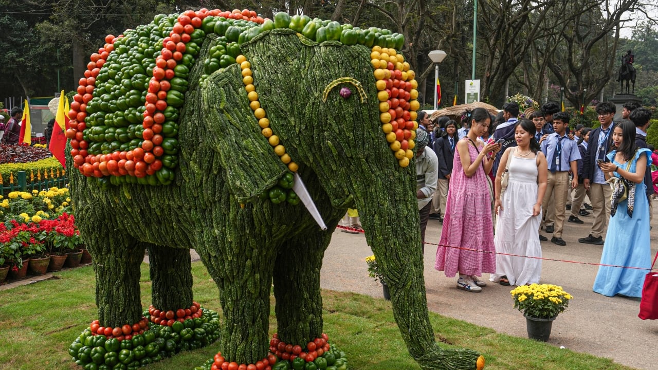 Bengaluru’s Cubbon Park hosts 11-day flower show: Timings, ticket prices and what visitors can expect