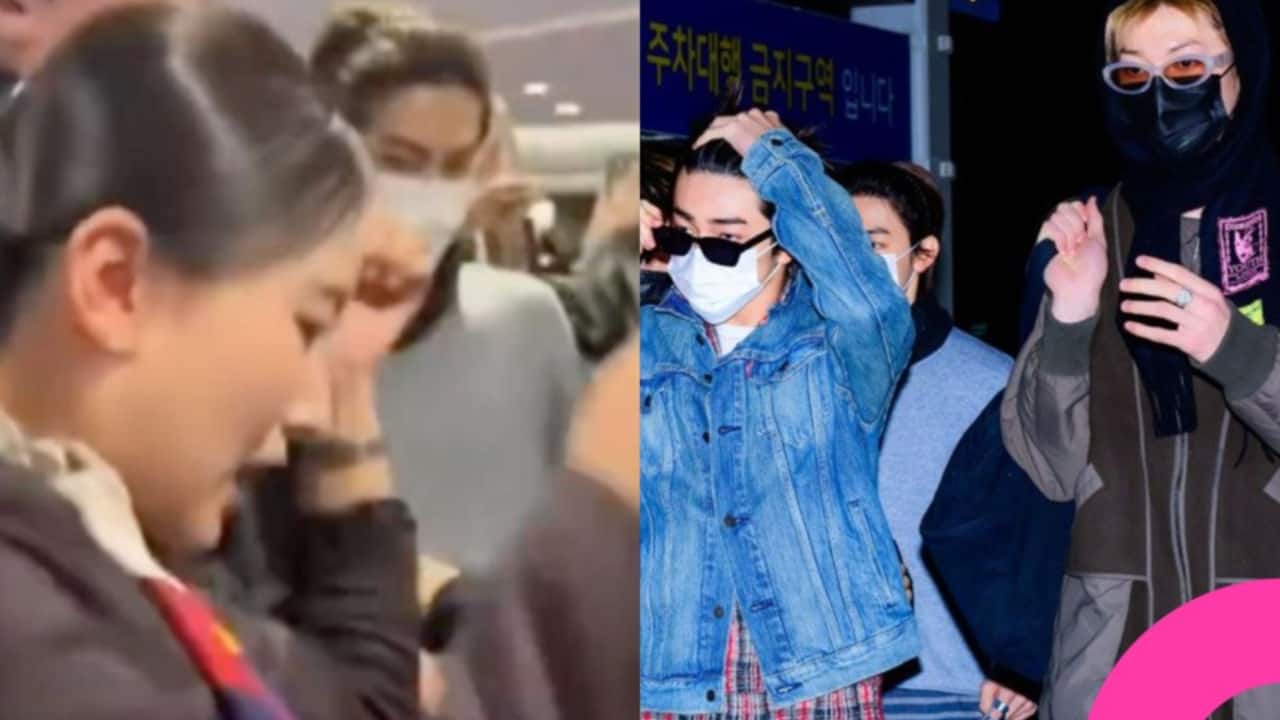 CORTIS fan creates chaos at airport leaving a flight attendant injured