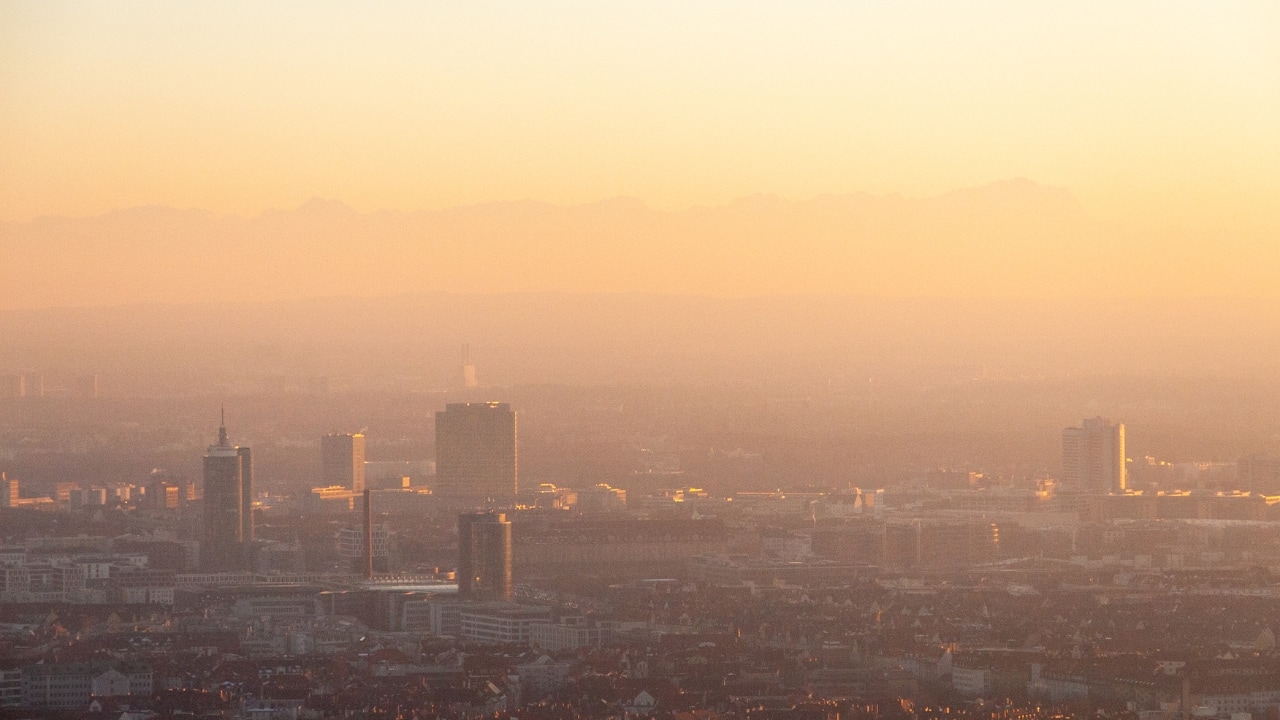 Hazardous air, severe questions: Is Delhi hoping nature will fix its pollution mess?