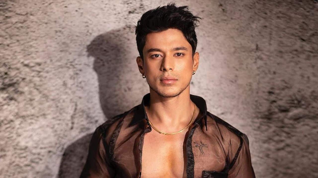 Pratik Sehajpal - Pratik's fearless and determined gameplay, first in Bigg Boss OTT and then in the main show, Bigg Boss 15, where he was the runner-up, earned him a dedicated fan following. He has since worked in numerous music videos and other reality shows.