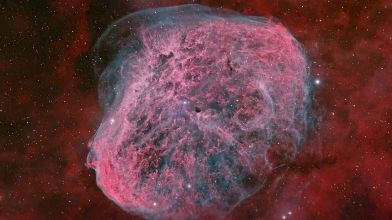 The Crescent Nebula spans 25 light-years, shaped by winds from Wolf-Rayet star WR 136. Its glowing folds reveal past eruptions, and the star will eventually end in a supernova. (Image: Greg Bass/NASA)