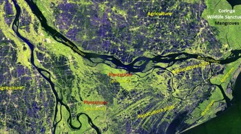 Nisar Begins Science Phase with First Sharp Look at India (Image: ISRO)