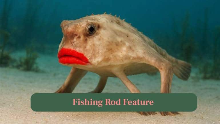 <strong>6. Fishing Rod Feature:</strong> A small “illicium” extends from its head like a fishing rod, with a lure (esca) to attract prey. (Image: Canva)