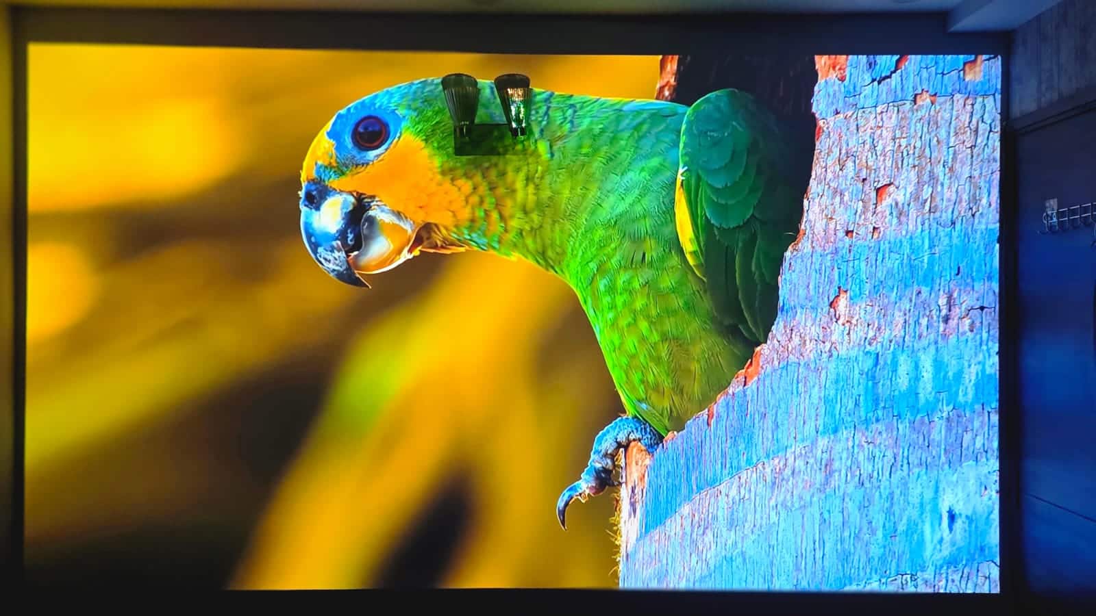 Epson EpiqVision Mini EF22 projector