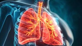 Chronic obstructive pulmonary disease: Major risk factors, diagnostic approaches and preventive measures