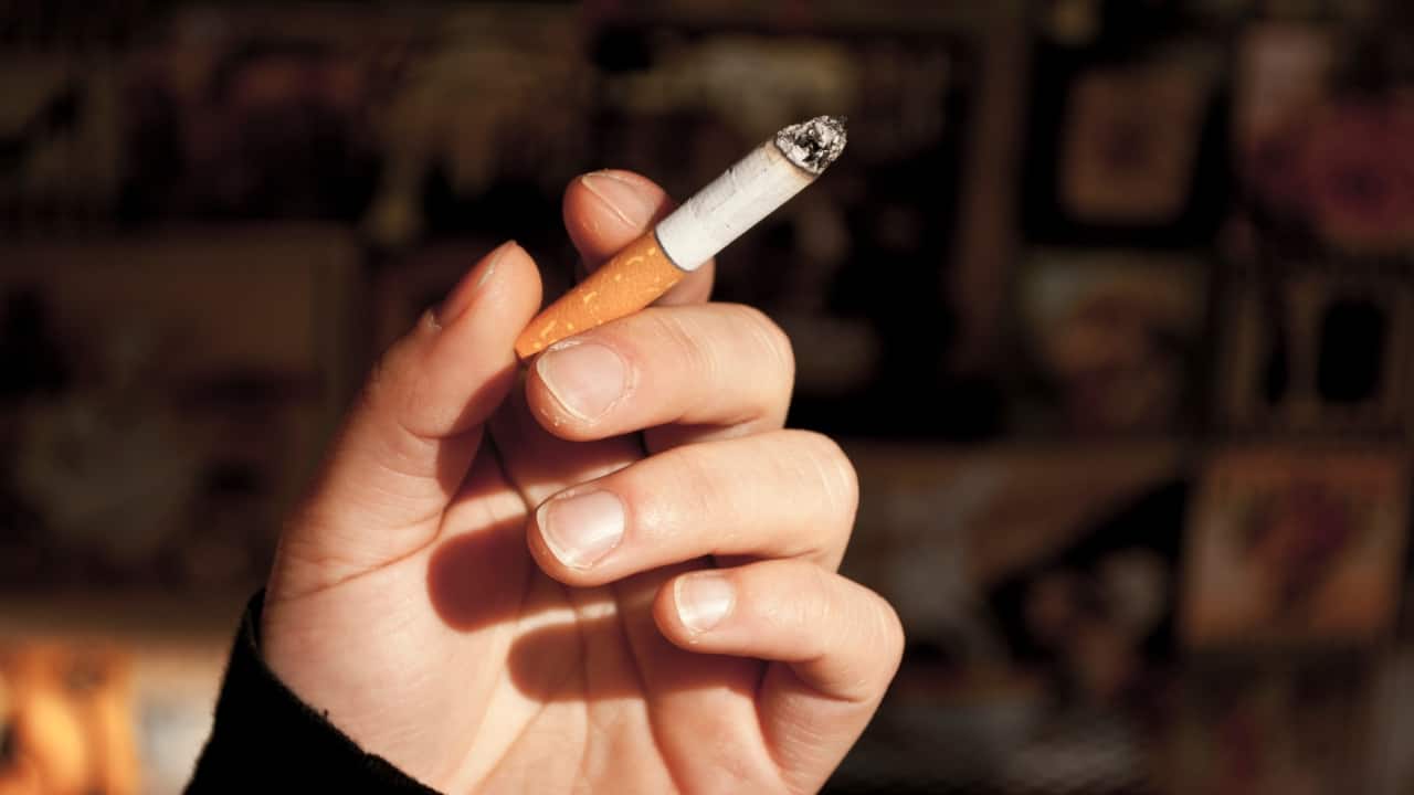 <strong>Major risk contributors</strong><br />Long-term exposure to cigarette smoke has been found to be a major risk factor for the development of chronic obstructive pulmonary disease. The inflammation caused leads to small airway fibrosis and excessive secretion of mucus, and later, destruction of the alveoli. (Picture Credit: Canva)