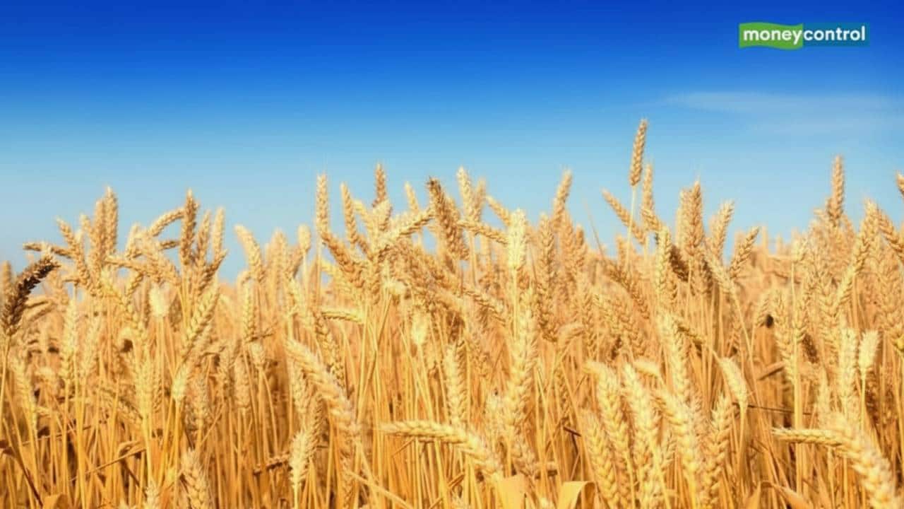 Minimum import price to anchor India’s farm protection in US trade deal