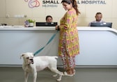 Mehli Mistry steps down from Ratan Tata founded Small Animal Hospital