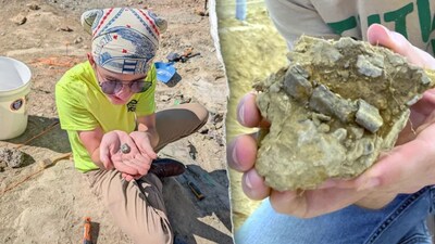Teen unearths 150-million-year-old dinosaur fossil on first day of Montana dig