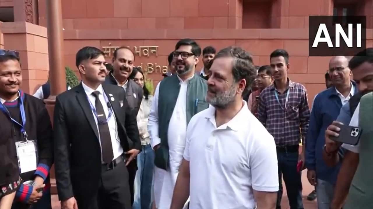 'What did the poor dog do?': Rahul Gandhi on Renuka Chowdhury’s pet dog row in Parliament