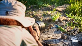 9 winter wildlife photography destinations in India that will blow your mind