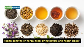 8 herbal teas you can easily grow at home, from chamomile to hibiscus, more