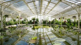 Google Trends reveals the 10 most searched botanical gardens in 2025 — #1 will surprise you