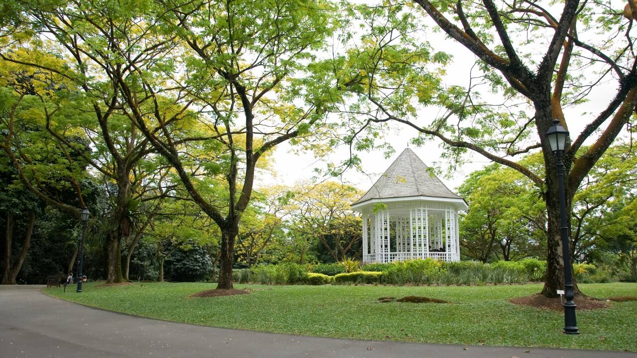 4. Singapore Botanic Gardens, Singapore — Where Orchids Rule the Kingdom Singapore’s crown jewel is the only tropical garden in the world to be listed as a UNESCO World Heritage Site. The highlight is the famed National Orchid Garden, home to over 1,000 species and 2,000 hybrids — some named after celebrities and world leaders. Beyond the orchids, visitors stroll through swan lakes, ginger gardens, rainforest trails, and children’s nature zones. It’s a green lung in the middle of a futuristic metropolis, which explains its constant popularity on Google Maps searches. 4. Singapore Botanic Gardens, Singapore — Where Orchids Rule the Kingdom Singapore’s crown jewel is the only tropical garden in the world to be listed as a UNESCO World Heritage Site. The highlight is the famed National Orchid Garden, home to over 1,000 species and 2,000 hybrids — some named after celebrities and world leaders. Beyond the orchids, visitors stroll through swan lakes, ginger gardens, rainforest trails, and children’s nature zones. It’s a green lung in the middle of a futuristic metropolis, which explains its constant popularity on Google Maps searches.