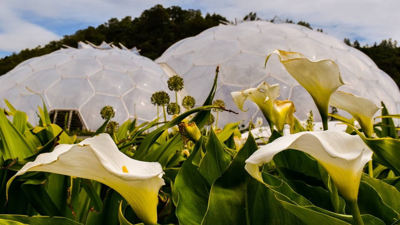 5. Eden Project, United Kingdom — A Garden of Tomorrow Set inside dramatic former clay pits in Cornwall, Eden Project looks like a sci-fi film set. Its iconic geodesic biomes house entire ecosystems — from the Amazon rainforest’s humidity to the Mediterranean’s citrus-scented breezes. Visitors come here to explore sustainable living exhibits, canopy walks above tropical trees, and interactive zones designed to spark curiosity about climate and conservation. It’s more than a botanical garden — it’s a glimpse of Earth’s future. 5. Eden Project, United Kingdom — A Garden of Tomorrow Set inside dramatic former clay pits in Cornwall, Eden Project looks like a sci-fi film set. Its iconic geodesic biomes house entire ecosystems — from the Amazon rainforest’s humidity to the Mediterranean’s citrus-scented breezes. Visitors come here to explore sustainable living exhibits, canopy walks above tropical trees, and interactive zones designed to spark curiosity about climate and conservation. It’s more than a botanical garden — it’s a glimpse of Earth’s future.