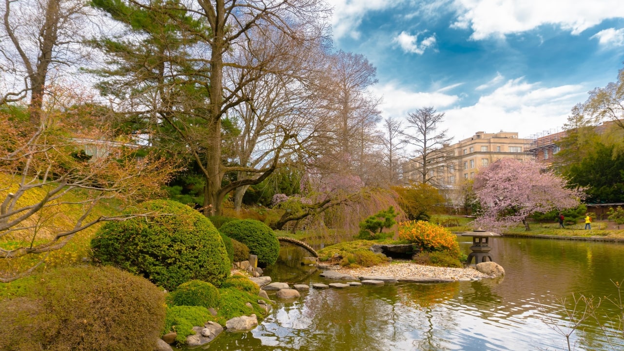 6. Brooklyn Botanic Garden, New York, USA — A Cherry Blossom Haven Right in the heart of Brooklyn, this garden is famous for its springtime Sakura Matsuri festival, which turns its Japanese garden into a cloud of pink. With curated bonsai collections, herb gardens, desert houses, and rose arcades, it offers a peaceful retreat from the city’s urban buzz. Its popularity on Google Maps spikes every year during blossom season, as travellers flock to witness New York’s prettiest spring destination. 6. Brooklyn Botanic Garden, New York, USA — A Cherry Blossom Haven Right in the heart of Brooklyn, this garden is famous for its springtime Sakura Matsuri festival, which turns its Japanese garden into a cloud of pink. With curated bonsai collections, herb gardens, desert houses, and rose arcades, it offers a peaceful retreat from the city’s urban buzz. Its popularity on Google Maps spikes every year during blossom season, as travellers flock to witness New York’s prettiest spring destination.