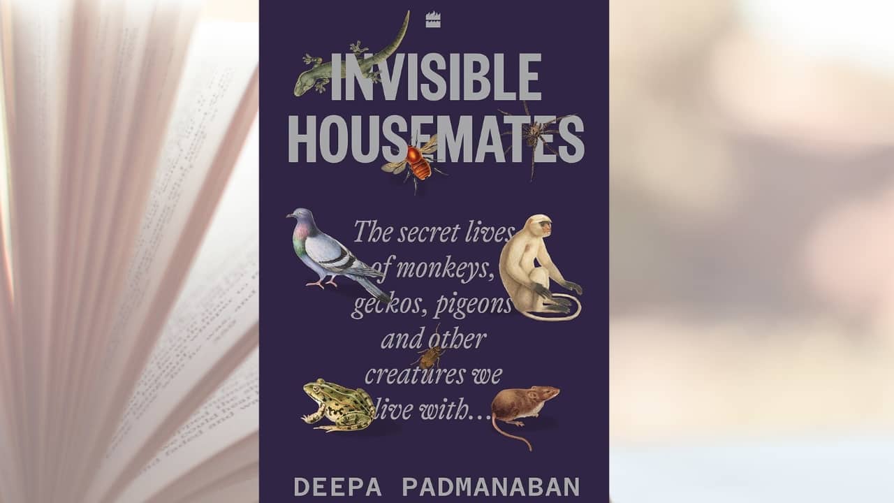 Book Extract: Invisible Housemates