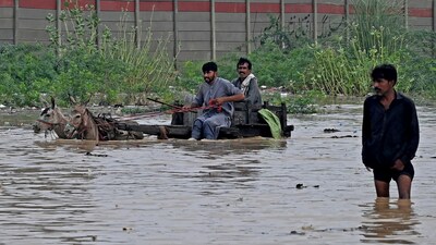 Men ride a donkey-drawn cart as they wade through a flooded street after rainfall in Karachi on September 10, 2025. (Photo by Rizwan TABASSUM / AFP)