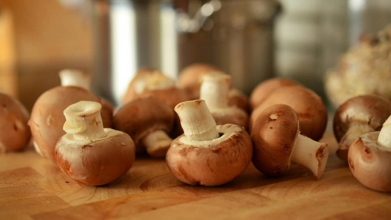 Harvard-trained doctor shares why mushrooms are underrated food that boosts gut and immune system