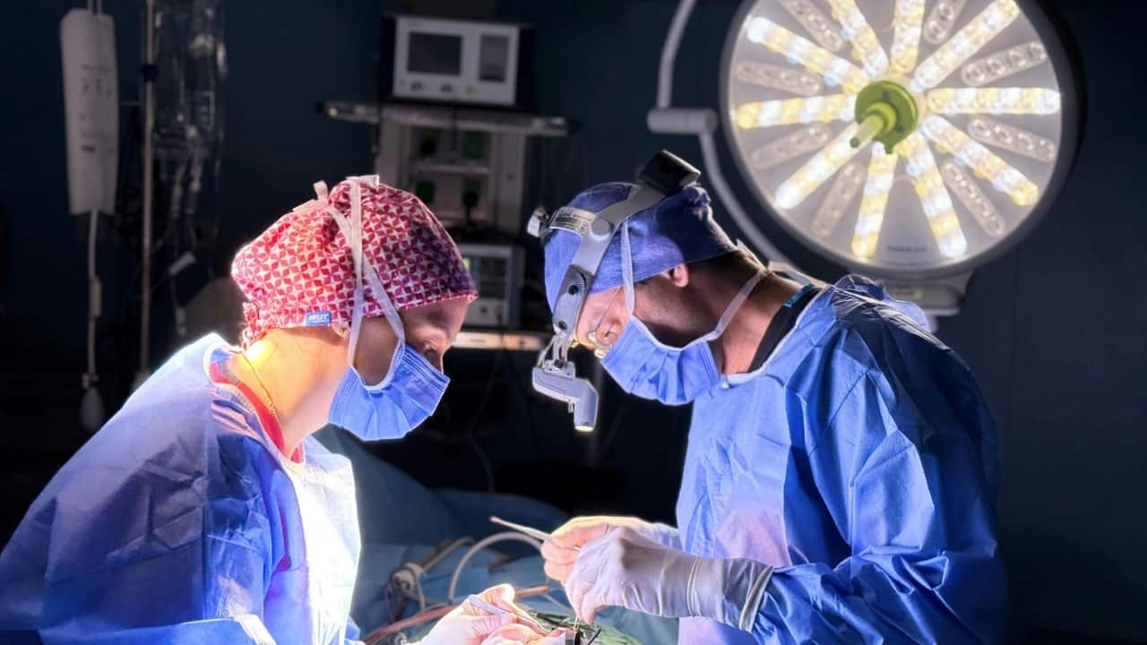 Pig liver transplant keeps human alive in world-first medical milestone