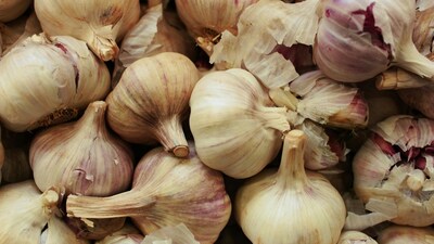 Garlic mouthwash could match chlorhexidine in fighting oral bacteria, finds a new review. A powerful natural alternative for those exploring herbal oral care. (Image: Pexels)