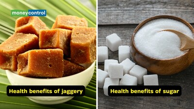 How to lose weight naturally: When it comes to the health benefits of jaggery and sugar, the former is considered healthier  as it contains micronutrients and causes less sugar spikes (Images: Canva)