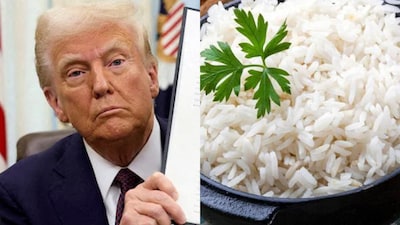 Rice stocks fall