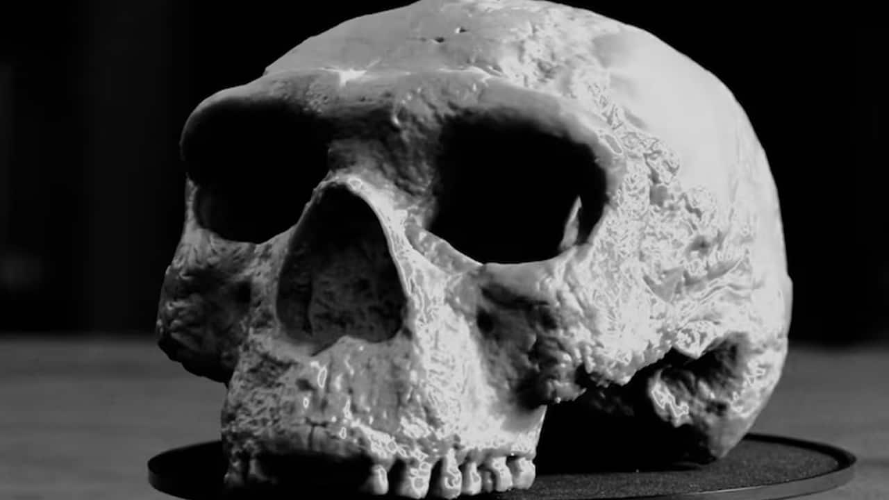 New fossil discovery overturns long-held belief about Neanderthal noses