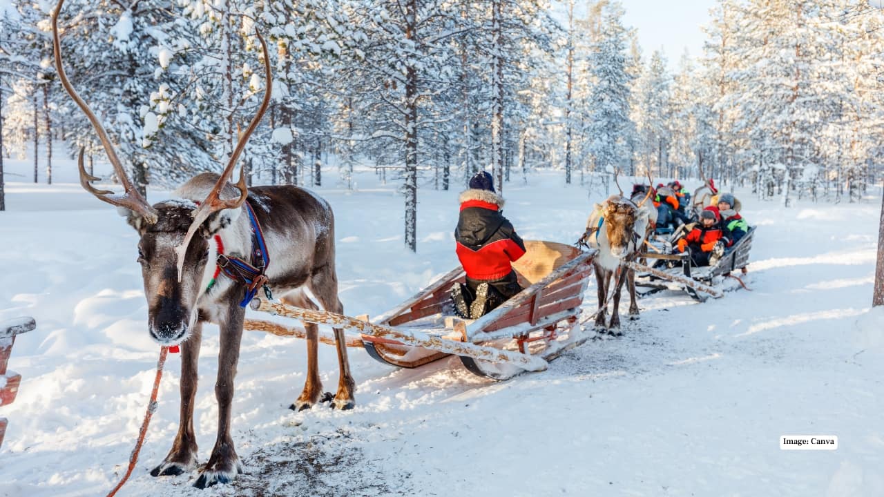 3. Lapland, Finland Ever wanted to meet Santa Claus or ride a sled pulled by huskies across endless snowfields? Lapland makes this childhood fantasy a reality, with snow-laden forests and magical Arctic experiences. Why it’s amazing: Witness the Northern Lights, try ice fishing, and enjoy reindeer sleigh rides in one of the most enchanting winter wonderlands on Earth. 3. Lapland, Finland Ever wanted to meet Santa Claus or ride a sled pulled by huskies across endless snowfields? Lapland makes this childhood fantasy a reality, with snow-laden forests and magical Arctic experiences. Why it’s amazing: Witness the Northern Lights, try ice fishing, and enjoy reindeer sleigh rides in one of the most enchanting winter wonderlands on Earth.