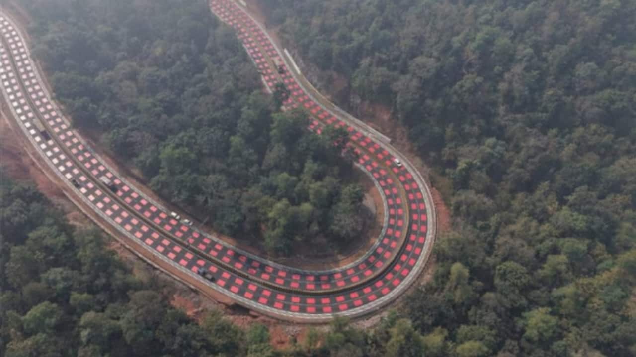 MP tests bold red road markings to protect wildlife on forest highway