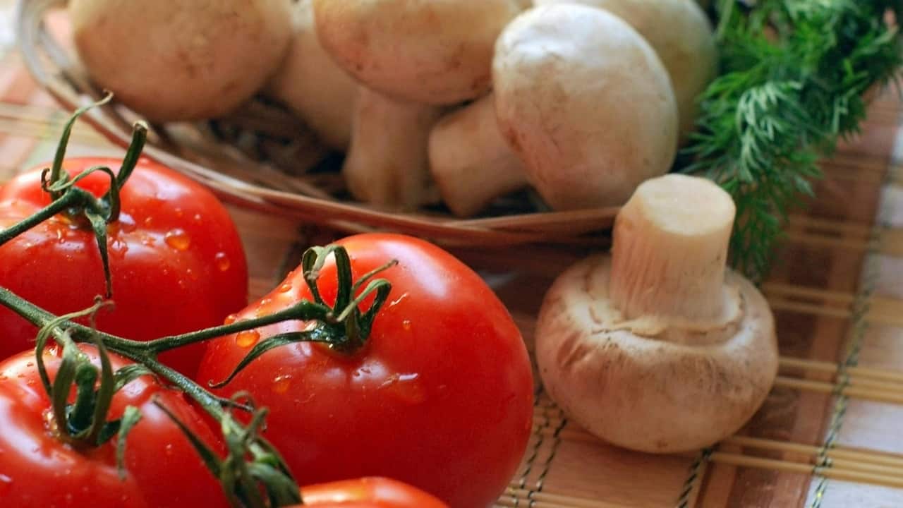 9 best vegetable plants to grow in your home garden