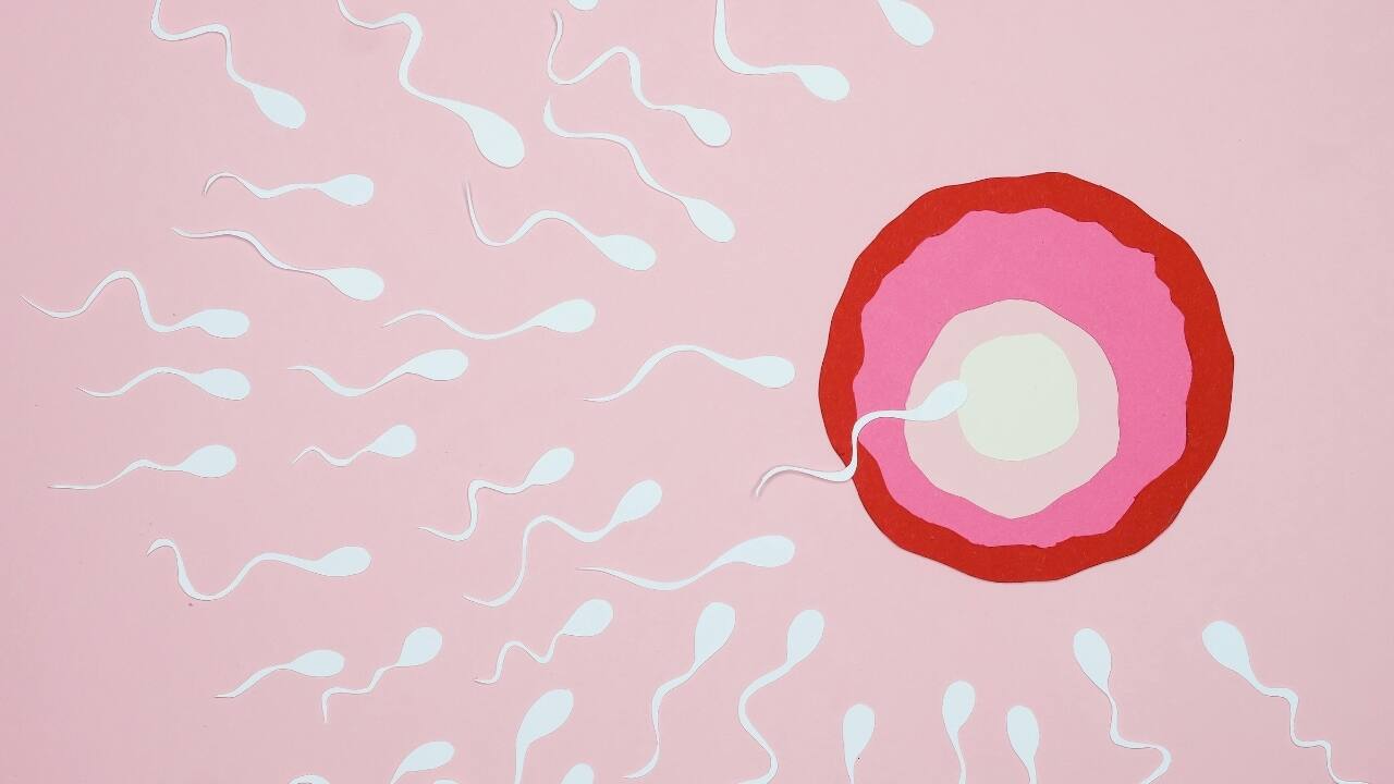 Man donated his sperm with cancer-causing gene to conceive over 200 children; Here's what happened next