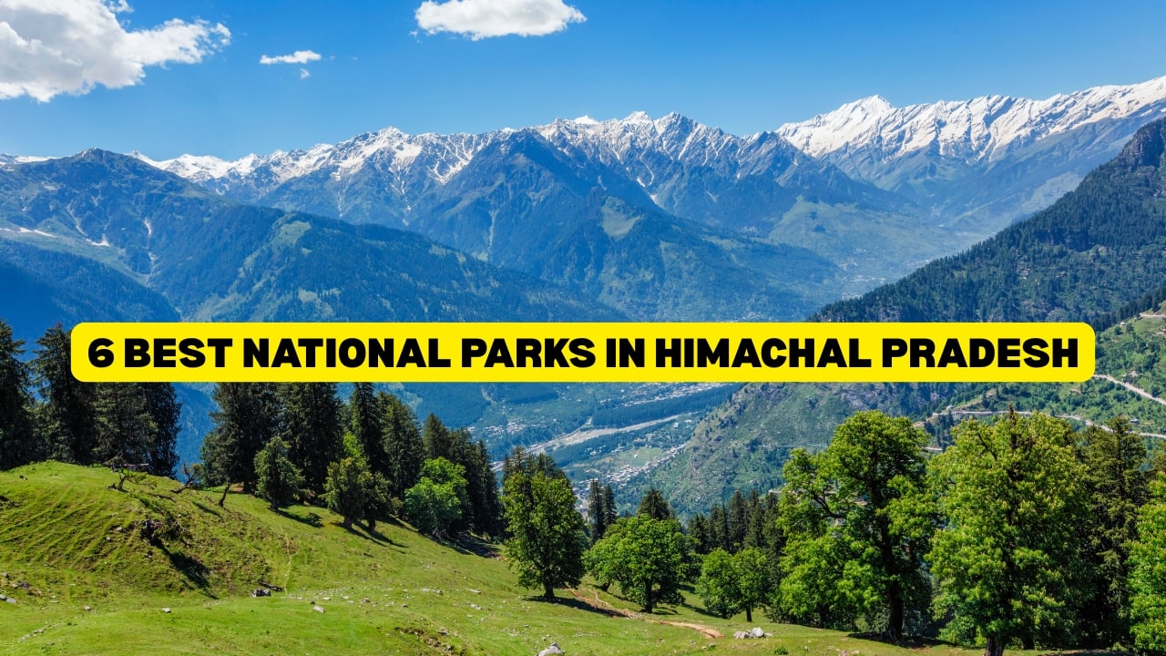6 best national parks to explore in Himachal Pradesh