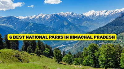 Experience Himachal Pradesh’s breathtaking wildlife and winter landscapes, from the Great Himalayan National Park to the serene Chail Wildlife Sanctuary.