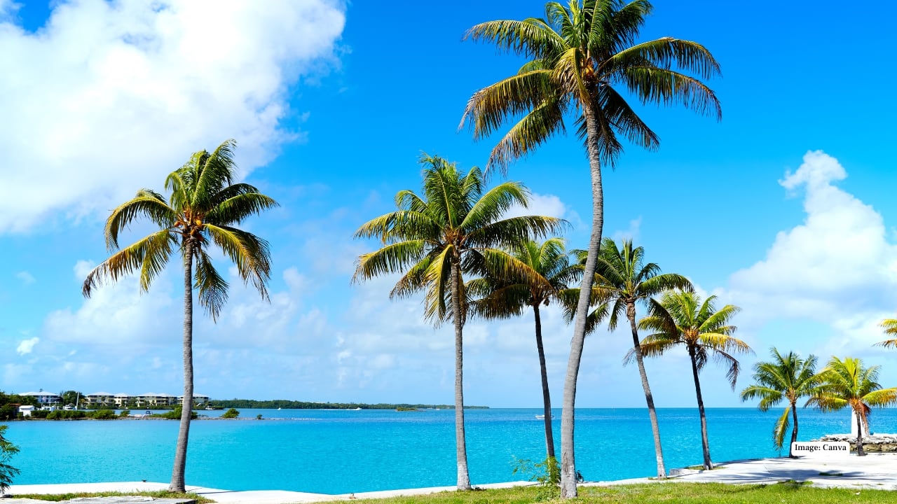 3. Florida Keys, USA The Florida Keys exude a laid-back island rhythm that’s perfect for unwinding alone. Explore mangrove forests by kayak, soak up the sun on tranquil beaches, or savor fresh seafood as you watch iconic Florida sunsets. 3. Florida Keys, USA The Florida Keys exude a laid-back island rhythm that’s perfect for unwinding alone. Explore mangrove forests by kayak, soak up the sun on tranquil beaches, or savor fresh seafood as you watch iconic Florida sunsets.
