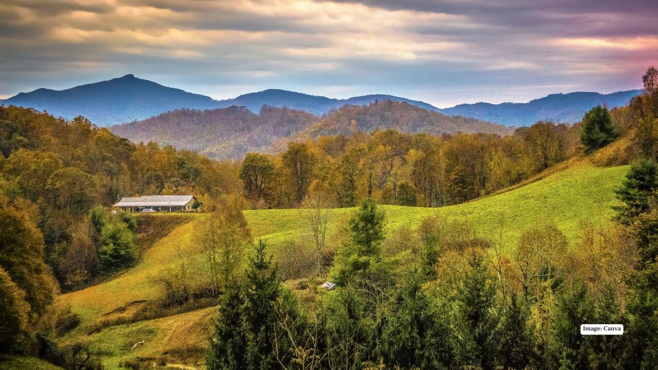 8. North Carolina Mountains, USA With misty peaks and forest-lined trails, the North Carolina mountains offer a deeply grounding solo escape. From forest bathing to exploring artisan towns, the region invites slow, mindful travel. A unique highlight is animal therapy sessions with adorable Highland cows. 8. North Carolina Mountains, USA With misty peaks and forest-lined trails, the North Carolina mountains offer a deeply grounding solo escape. From forest bathing to exploring artisan towns, the region invites slow, mindful travel. A unique highlight is animal therapy sessions with adorable Highland cows.