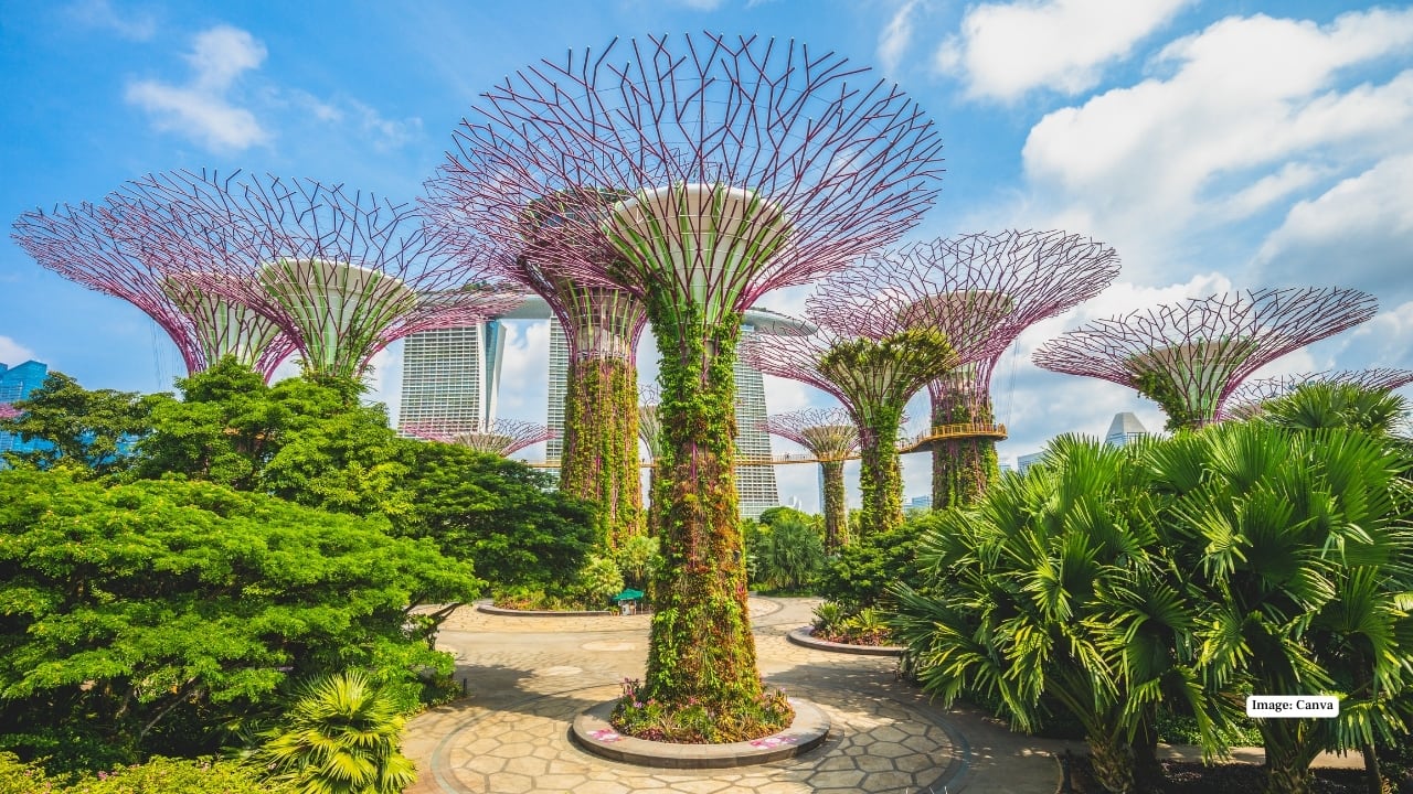 Gardens by the Bay, Singapore