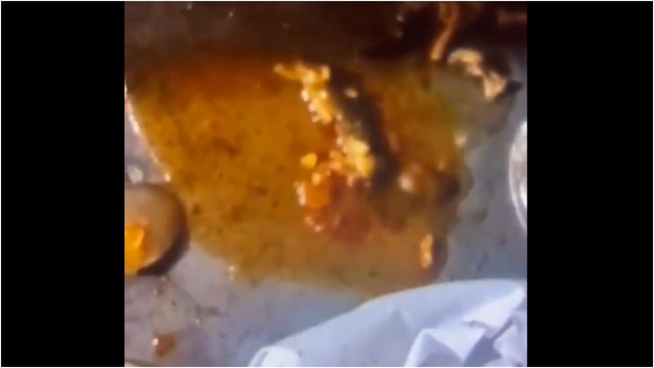 Meerut man hospitalised after dead lizard found in chicken curry ordered from Zomato