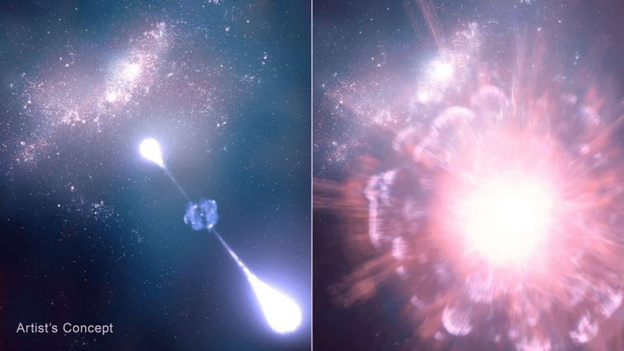 Rare supernova from 730 million years after the Big Bang spotted by JWST